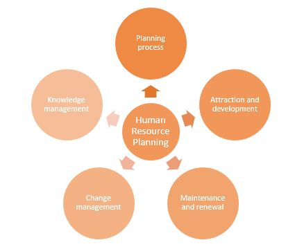 what is human resource planning process